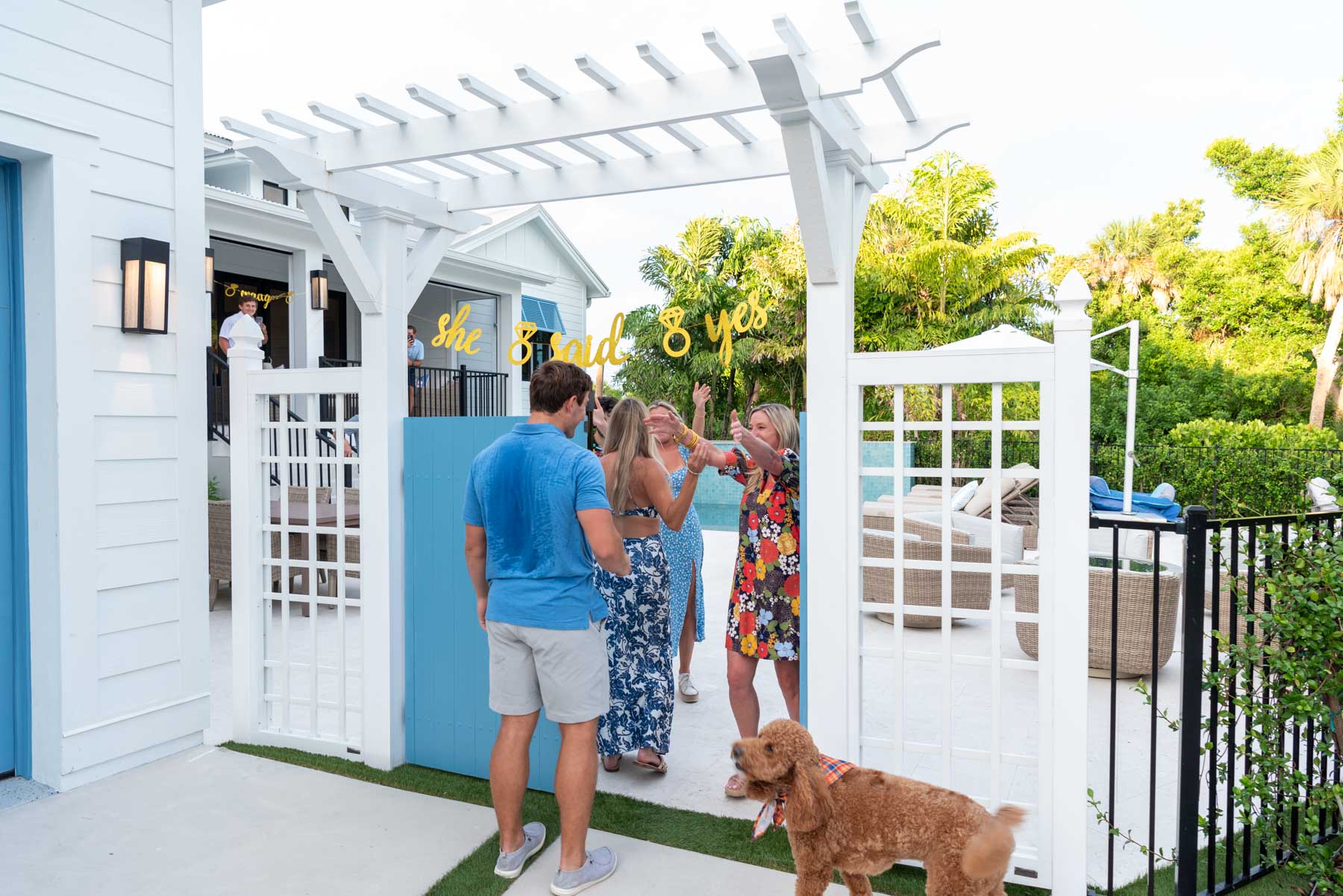 a surprise engagement party ensues after the proposal