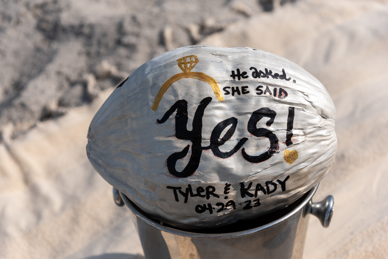 coconut hand painted saying "he asked, she said Yes!" sitting on a champagne bucket