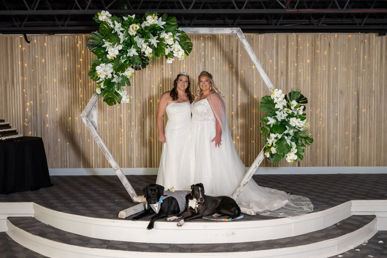brides posing in their wedding arch with their dogs sitting at their feet