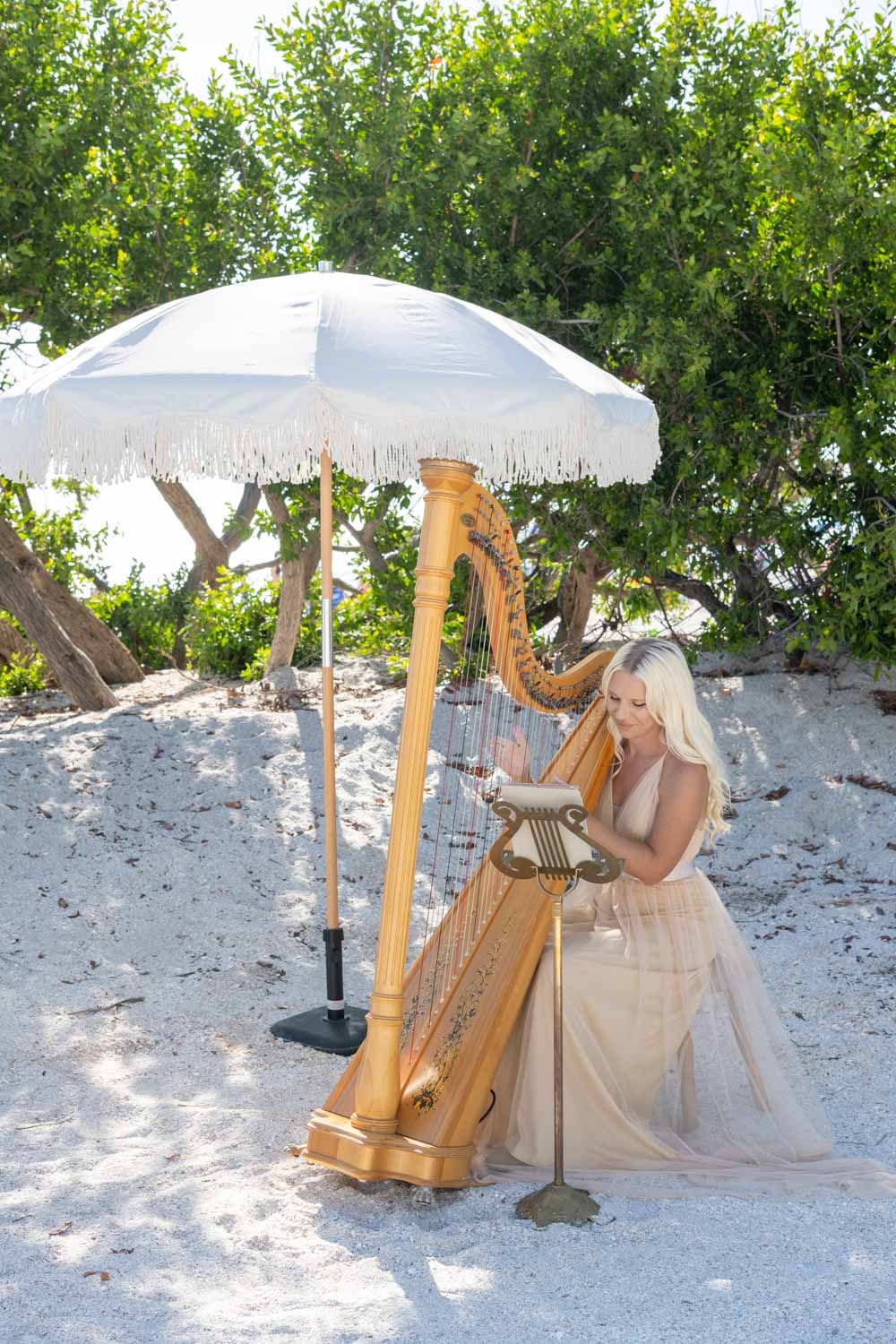 harpist playing on the beach under a white umbrella