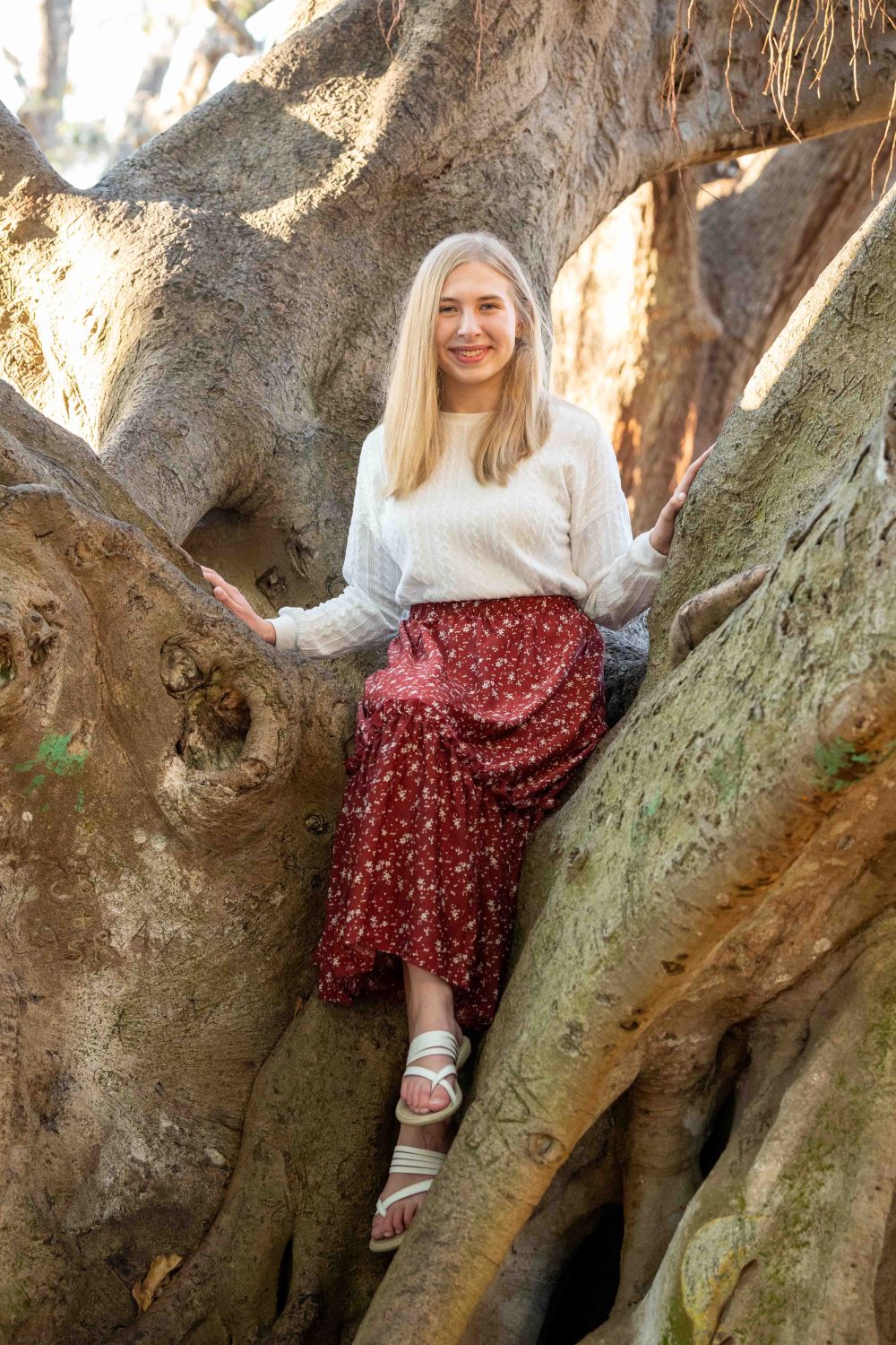 Venice Fl senior photo of girl in cream sweater and red skirt sitting in a Banyan tree